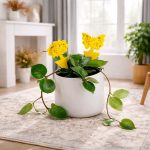 LISTKI PROTI MUŠICAM