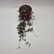 STRING OF HEARTS - slika 3